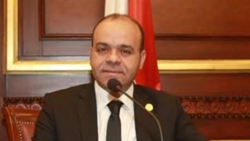 برلماني: «حياة كريمة» مشروع القرن في مصر