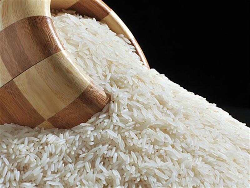 موسم حصاد الأرز