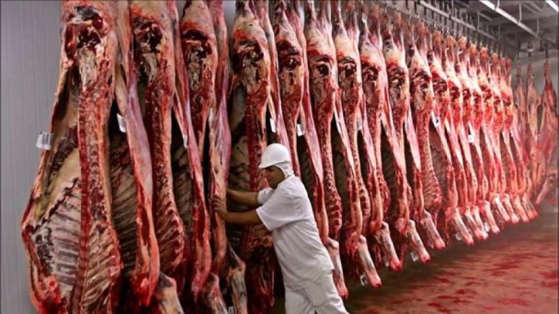 التموين: سعر اللحوم السوداني بـ115 جنيها بالمنافذ التابعة وطبق البيض بـ 58