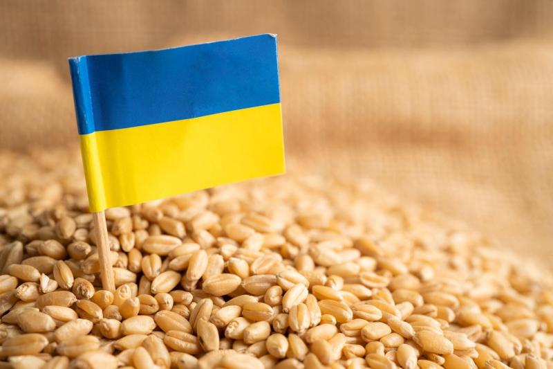الحبوب الأوكرانية