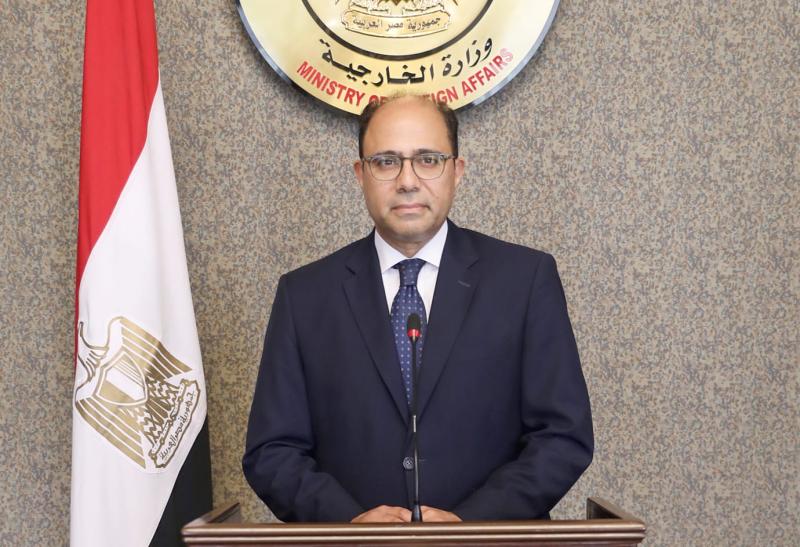 المتحدث باسم وزارة الخارجية السفير أحمد أبوزيد-صورة من جوجل