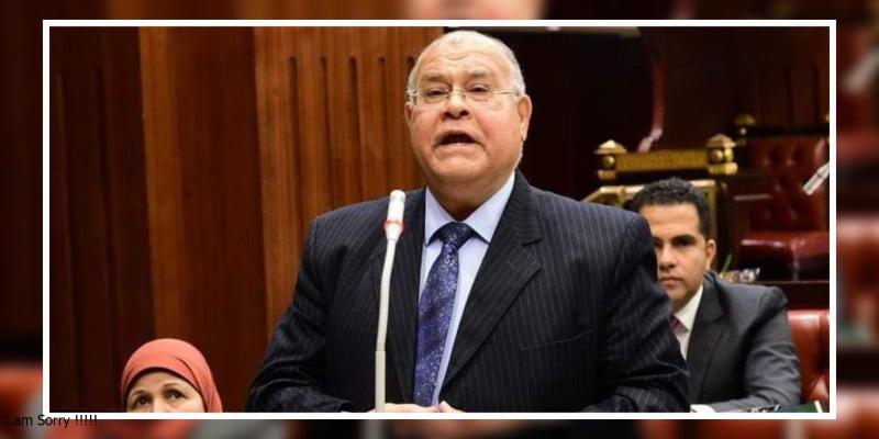 الشهابي: نرحب بدعم السيسي لقمة الجزائر.. ونطالب بالإفراج عن كل سجناء الرأي في مصر «خاص»