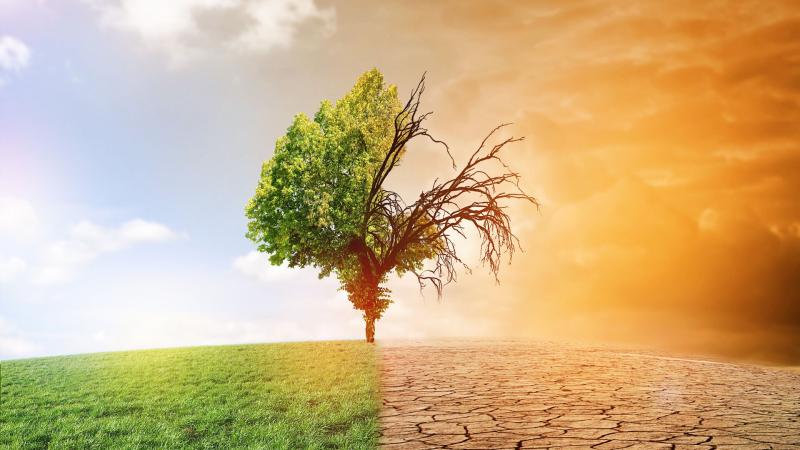 تأثير تغير المناخ على الصحة    المصدر موقع yandex