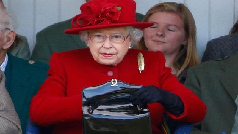 حقيبة الملكة إليزابيث المصدر موقع yandex