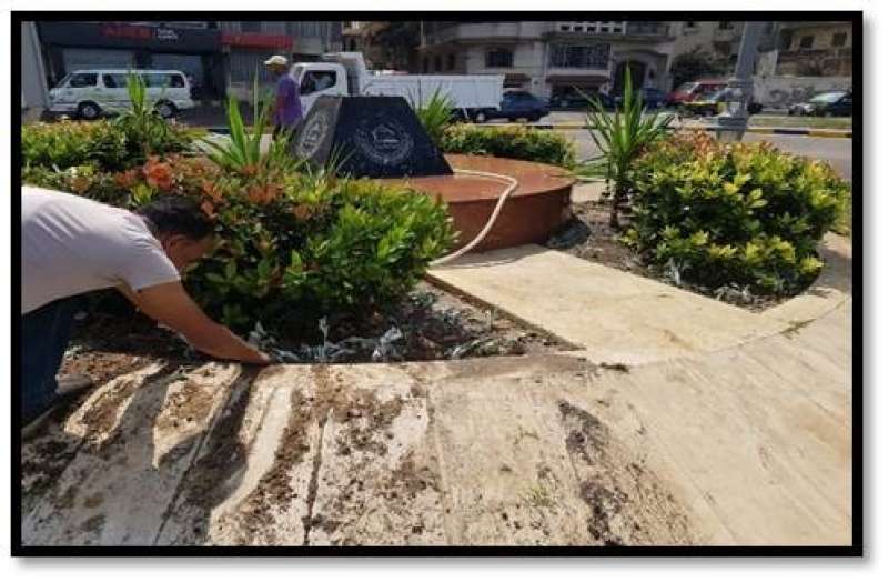 محافظ الإسكندرية: زراعة 5600 شجرة في شوارع وميادين المحافظة