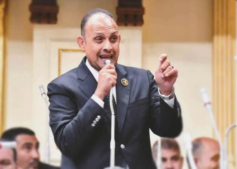 النائب هشام الجاهل عضو مجلس النواب
