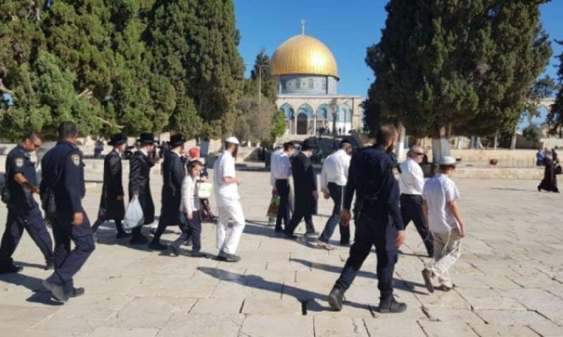 المستوطنين يقتحمون المسجد الأقصى 