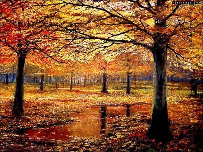 فصل الخريف- مصدر الصورة جوجل