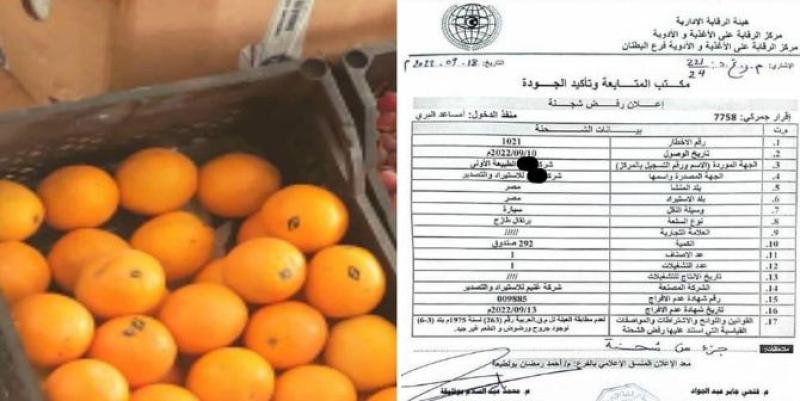 ليبيا ترفض شحنة من البرتقال المصري لهذا السبب| مستند