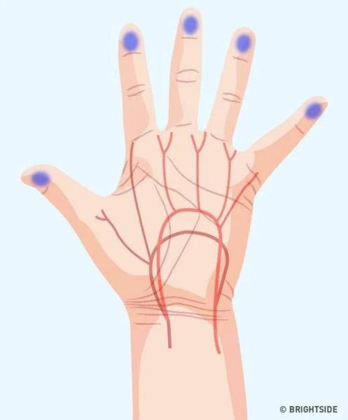 دراسة: طول أصابع اليد يتحكم في اختيارك للبرجر أو السلطة