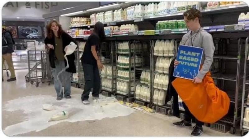 بريطانيون يسكبون الحليب على الأرض_ المصدر تايمز ناو