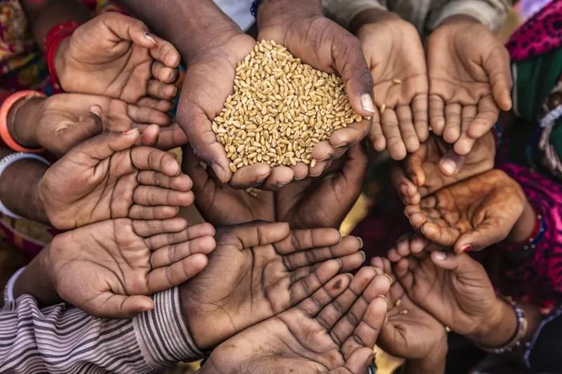 تحذير من تبعات انعدام الأمن الغذائي عالميا.. الجوع يصل لمستوى قياسي
