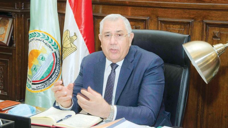 وزير الزراعة يكشف عن إجراءات الحكومة لدعم صناعة الدواجن في مصر