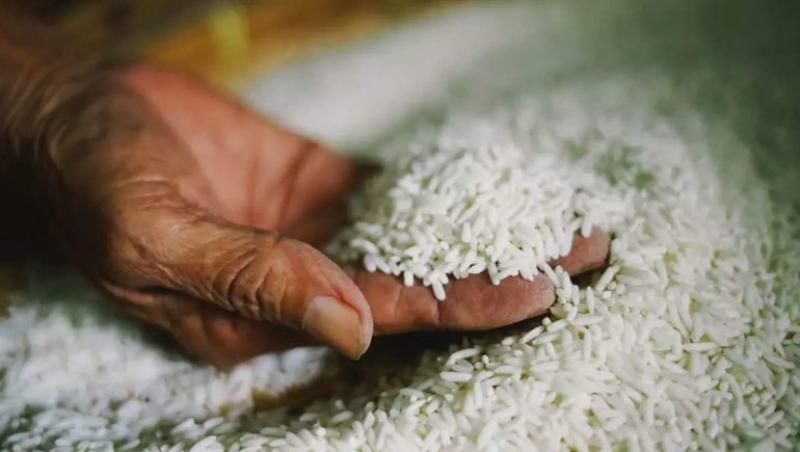 التموين تكشف لـ«الطريق» حقيقة ارتفاع أسعار الأرز