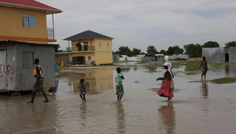 أمطار النيجر ـ البيان 
