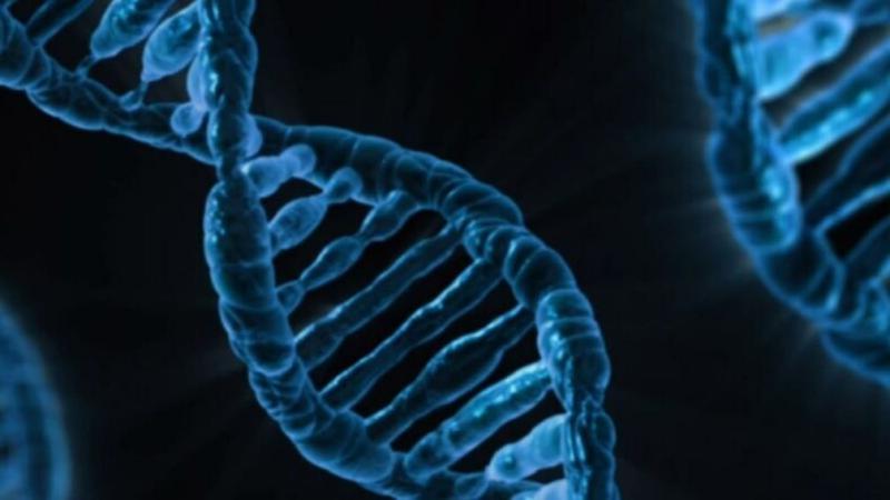 عدو للإنسان داخل جسده.. «8% من الحمض النووي فيروسات عمرها ملايين السنين»