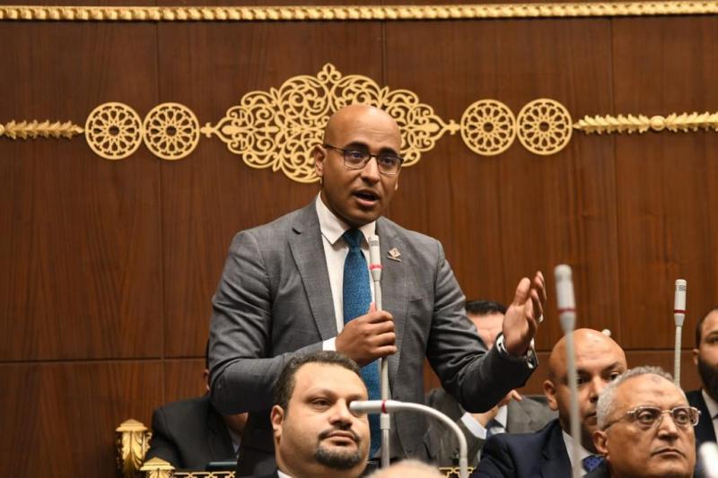 النائب علاء مصطفى عضو مجلس الشيوخ