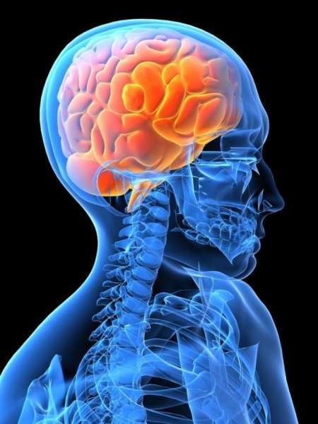تأثير اضطراب الطعام علي صحة الدماغ_باندكس