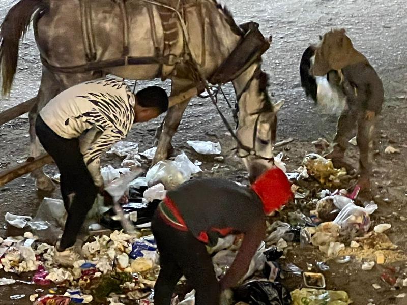 جانب من نبش القمامة في شوارع الجيزة - مصدر الصورة: جريدة الطريق