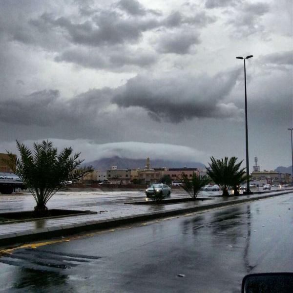 أمطار- مصدر الصورة: ياندكس