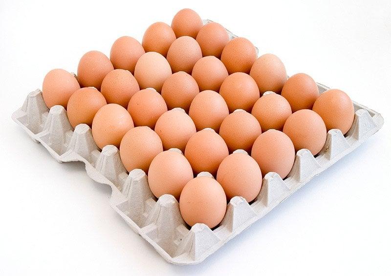 شعبة الدواجن: «تكلفة أسعار البيض مازالت مرتفعة لهذا السبب»
