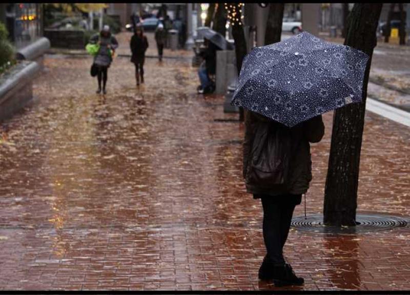 هيئة الأرصاد تحذر المواطنين من حالة الطقس المتوقعة اليوم