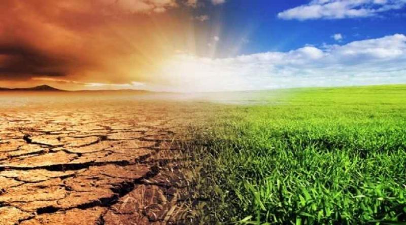 التغيرات المناخية والزراعة 