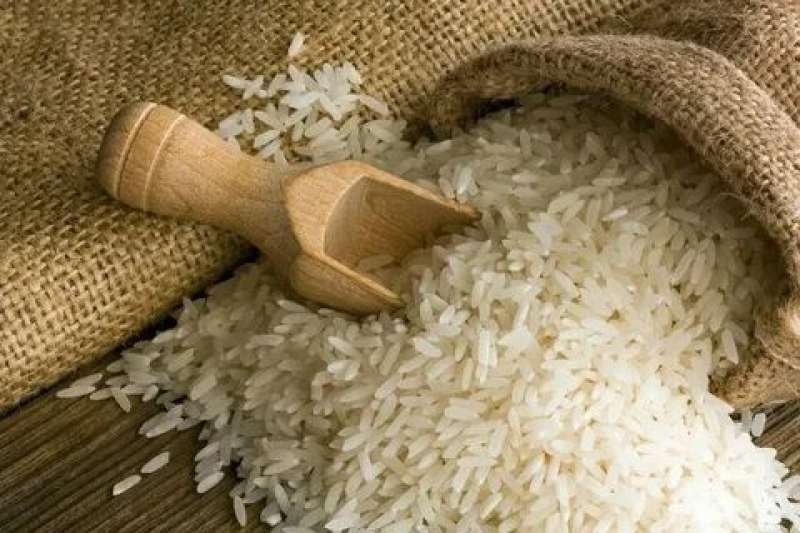 أرز- مصدر الصورة: ياندكس