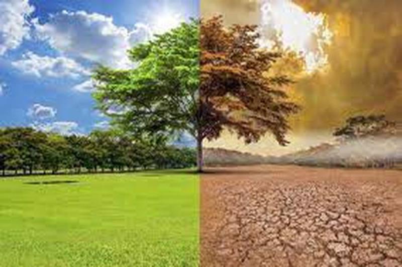 تأـثير التغيرات المناخية على المحاصيل
