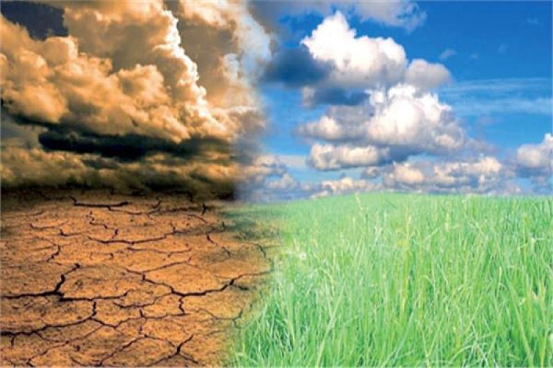 نقيب الفلاحين يكشف لـ”الطريق” مخاطر التغيرات المناخية على الزراعة.. أهمية قمة المناخ Cop27