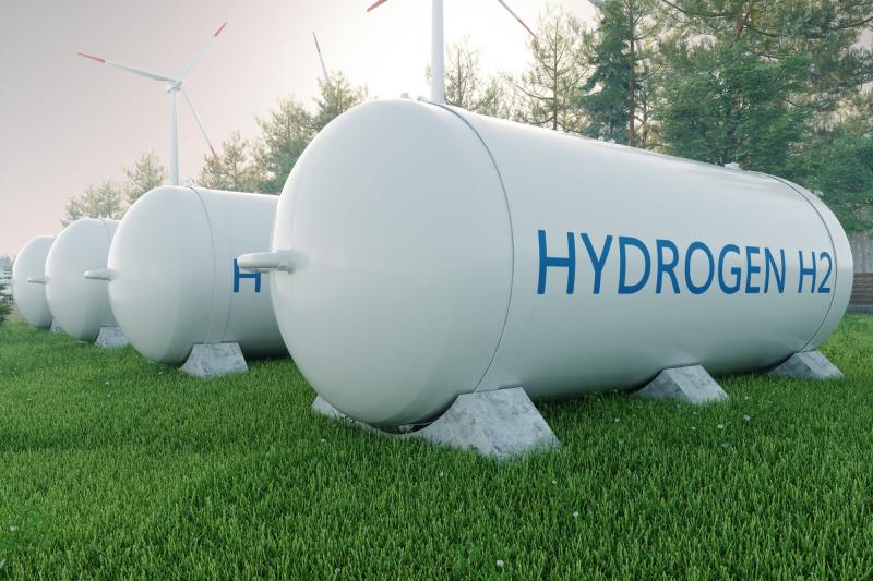 بلجيكا تدرس إنشاء مركزًا لإنتاج الهيدروجين الأخضر في مصر