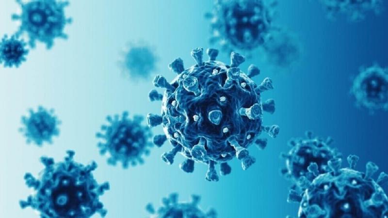 النمط «A» الأخطر .. الصحة توضح أنواع الإنفلونزا الموسمية