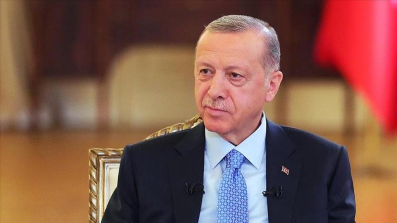 أردوغان: من المبكر تصنيف حادث إسطنبول عملا إرهابيًا