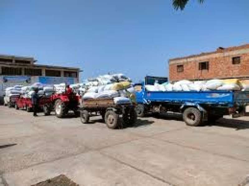 محافظ الغربية: شون الأرز استقبلت 36 ألف طن حتى الآن