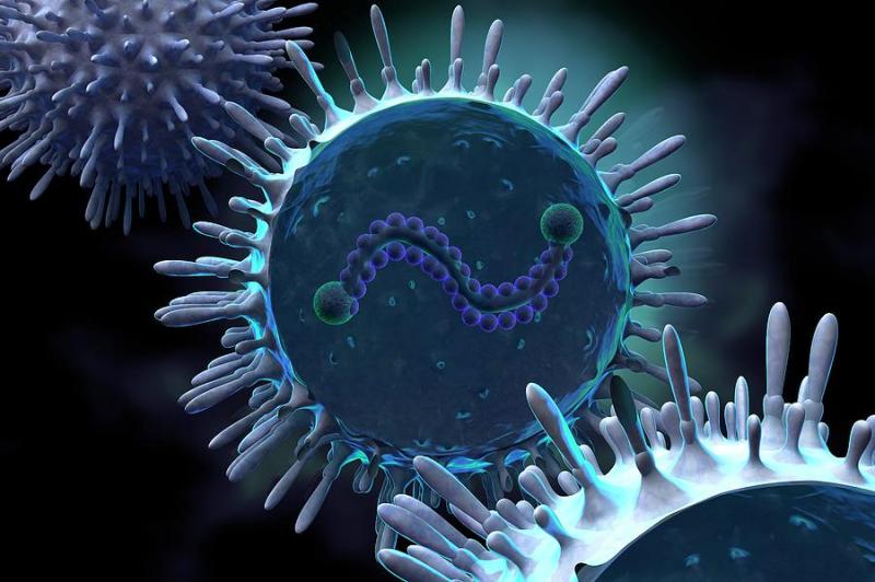 الفيروس المخلوي