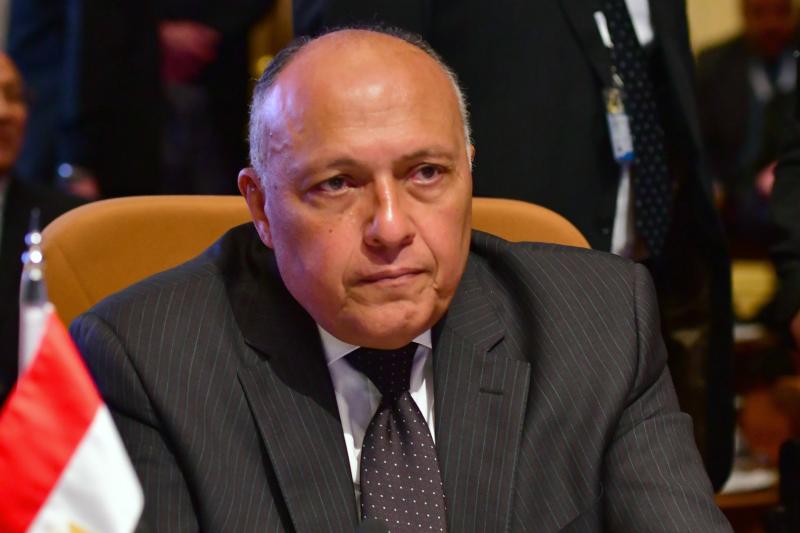وزير الخارجية المصري سامح شكري - ياندكس