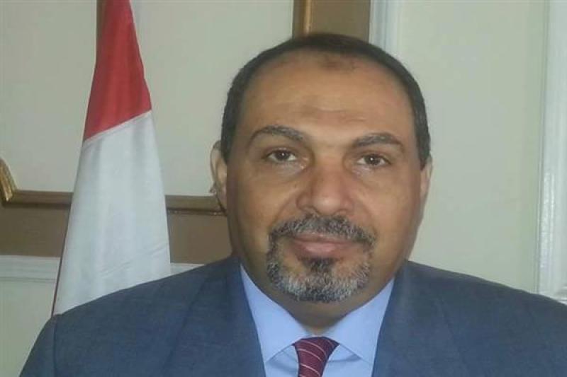  الدكتور علي إسماعيل، عضو لجنة تحديث الري