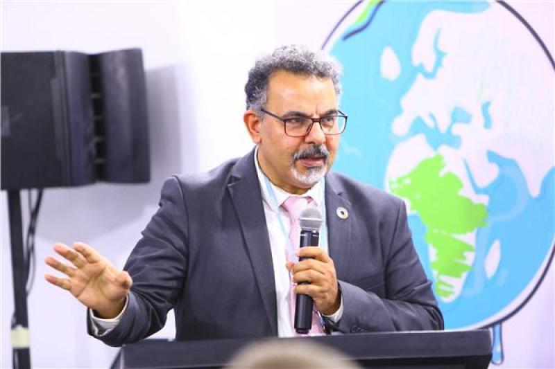 الدكتور عاطف شبراوي، مستشار البنك الدولي