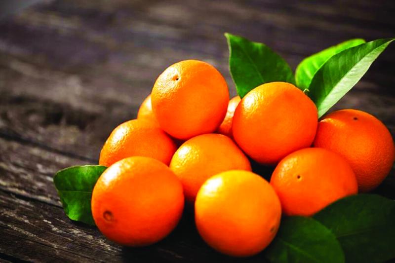 فوائد البرتقال-ياندكس