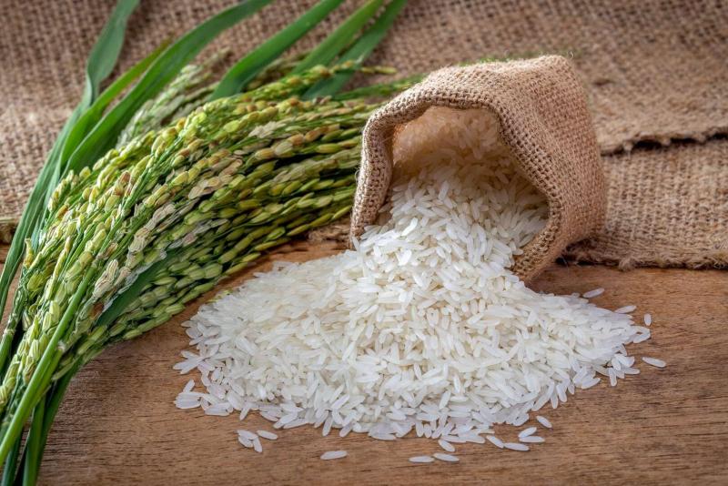 الحكومة لـ«حائزي الأرز»: لن نسمح بالتربح على حساب غذاء الشعب