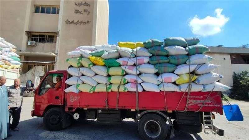 تموين الغربية: وصول كمية الأرز المورد من الفلاحين إلى 125 ألف طن حتى اليوم