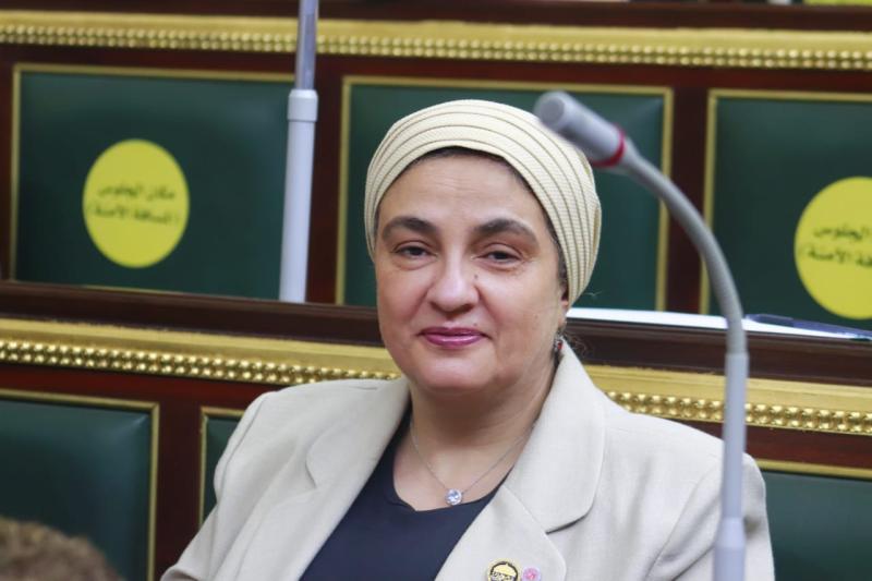 سميرة الجزار، عضو مجلس النواب