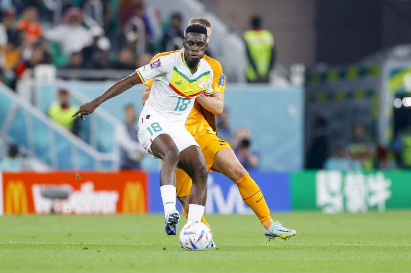كأس العالم.. التعادل السلبي يحسم الشوط الأول من مواجهة السنغال وهولندا