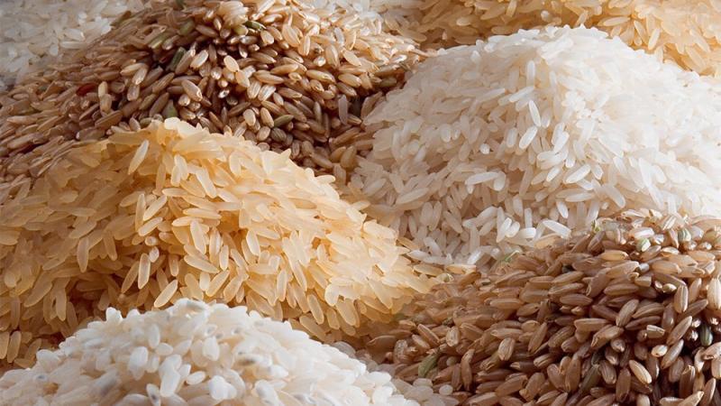 كيف تسببت الدروس الخصوصية في ارتفاع أسعار الأرز؟.. اتحاد الصناعات يفجر مفاجأة