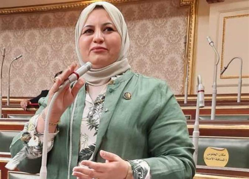 النائبة عفاف زهران  عضو مجلس النواب