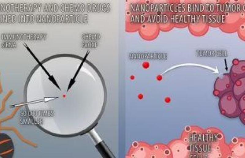 ابتكار ”دواء نانوي” أصغر 50 ألف مرة من النملة، يستهدف الخلايا السرطانية