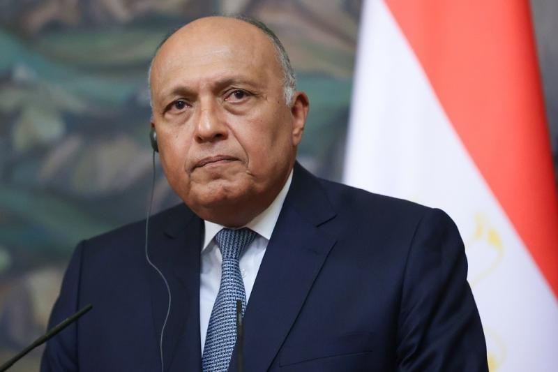 وزير الخارجية يؤكد ثوابت الموقف المصري حيال الأزمة في سوريا