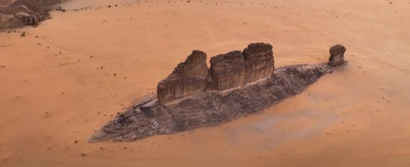 سمكة قرش عملاقة في صحراء السعودية