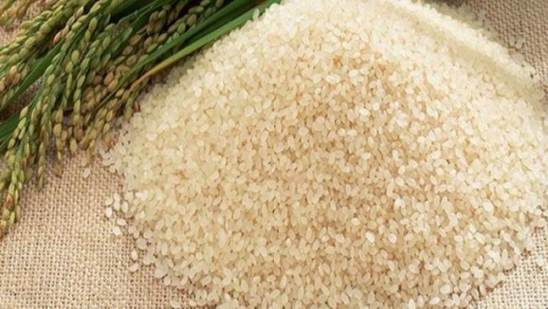 وزير التموين: مد موسم توريد الأرز الشعير حتى 15 يناير 2023