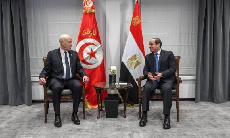 الرئيس السيسي يؤكد حرص مصر على بذل الجهد لدفع التعاون الثنائي مع تونس
